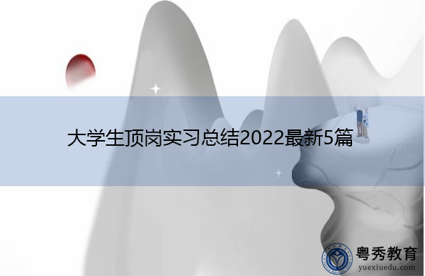 大学生顶岗实习总结2022最新5篇 大学生顶岗实习总结2022最新5篇