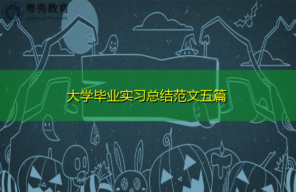 大学毕业实习总结范文五篇