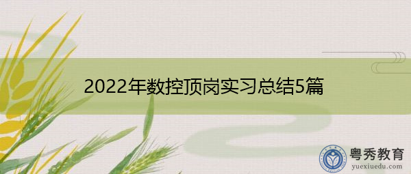 2022年数控顶岗实习总结5篇 2022年数控顶岗实习总结5篇