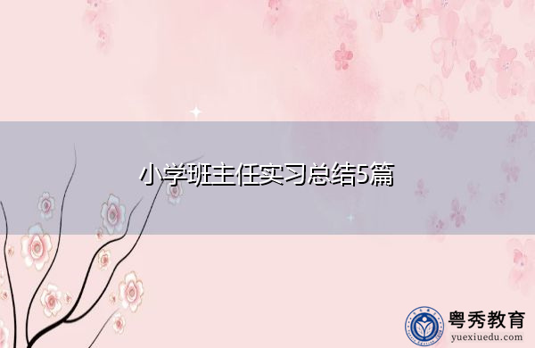 小学班主任实习总结5篇 小学班主任实习总结5篇