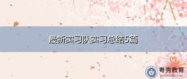 最新实习队实习总结5篇 最新实习队实习总结5篇
