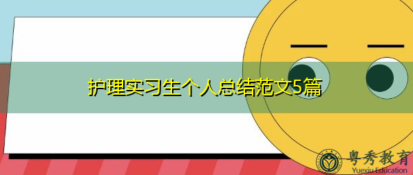 护理实习生个人总结范文5篇 护理实习生个人总结范文5篇