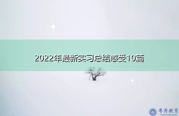 2022年最新实习总结感受10篇 2022年最新实习总结感受10篇