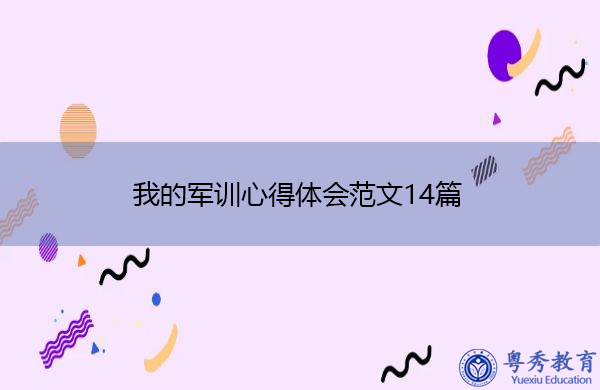我的军训心得体会范文14篇