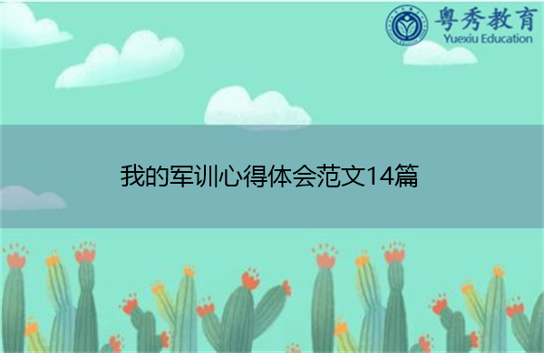 我的军训心得体会范文14篇