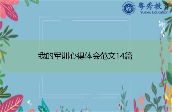 我的军训心得体会范文14篇