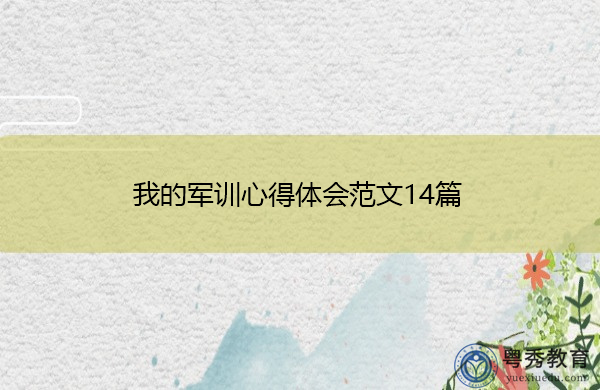 我的军训心得体会范文14篇