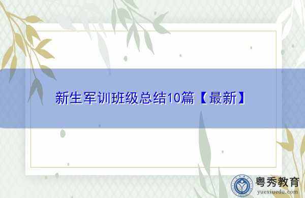 新生军训班级总结10篇【最新】