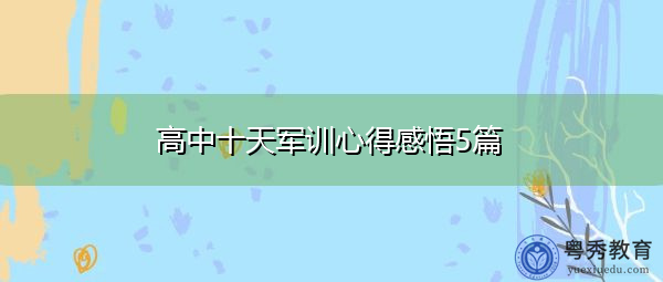 高中十天军训心得感悟5篇