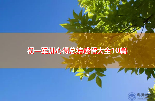 初一军训心得总结感悟大全10篇