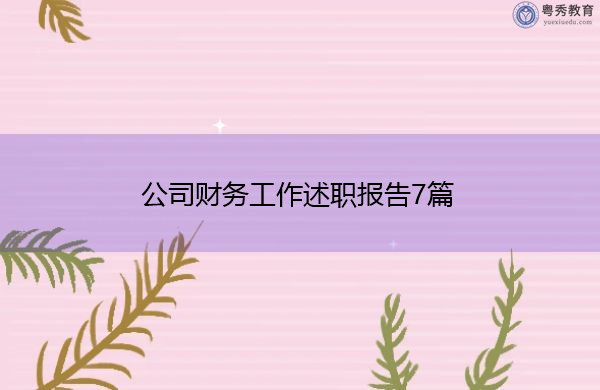 公司财务工作述职报告7篇