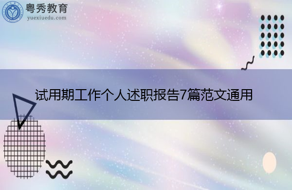 试用期工作个人述职报告7篇范文通用