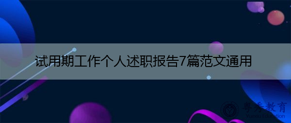 试用期工作个人述职报告7篇范文通用