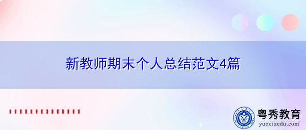 新教师期末个人总结范文4篇