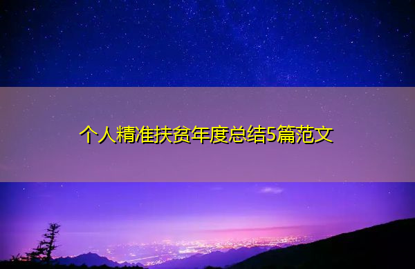 个人精准扶贫年度总结5篇范文
