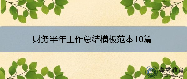 财务半年工作总结模板范本10篇