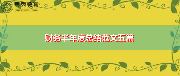 财务半年度总结范文五篇
