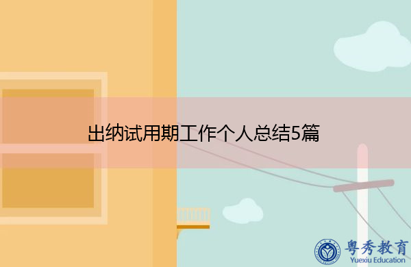 出纳试用期工作个人总结5篇 出纳试用期工作个人总结5篇