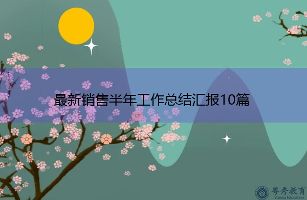 最新销售半年工作总结汇报10篇