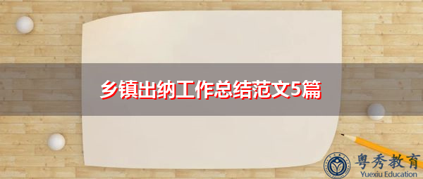 乡镇出纳工作总结范文5篇 乡镇出纳工作总结范文5篇