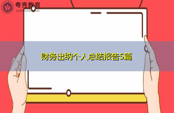 财务出纳个人总结报告5篇
