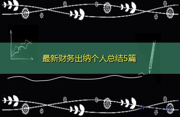 最新财务出纳个人总结5篇