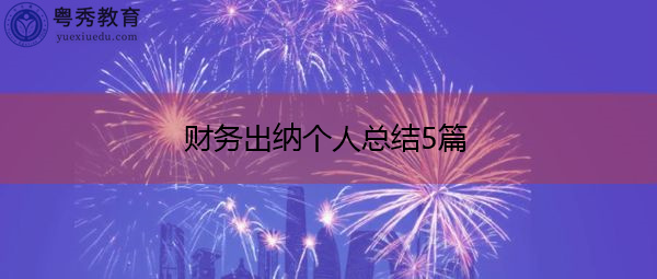 财务出纳个人总结5篇 财务出纳个人总结5篇