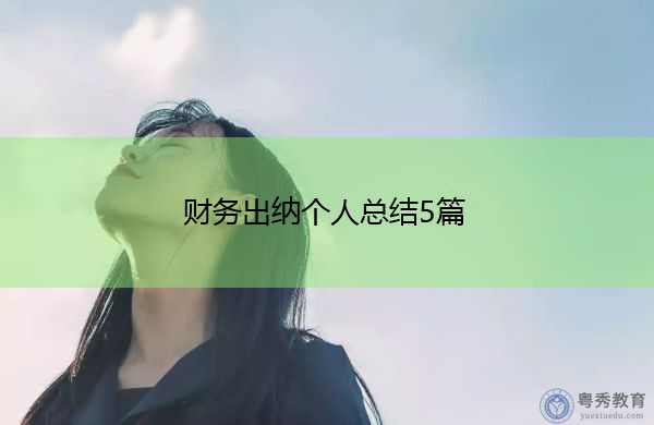 财务出纳个人总结5篇 财务出纳个人总结5篇