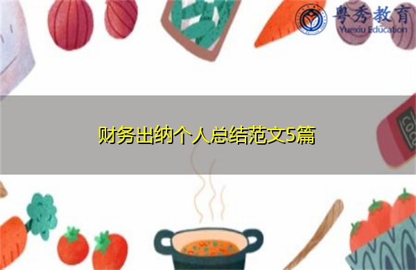 财务出纳个人总结范文5篇 财务出纳个人总结范文5篇