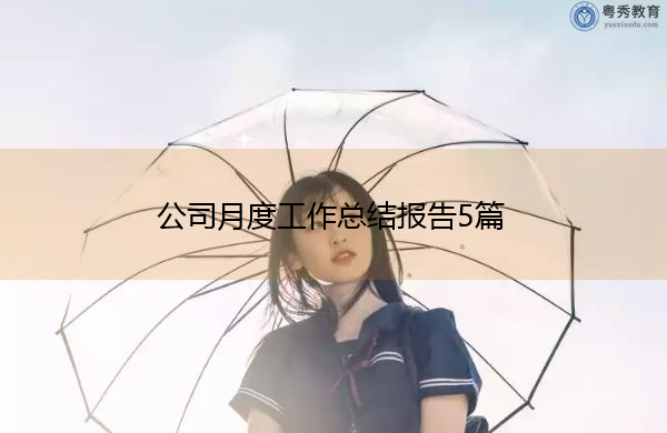 公司月度工作总结报告5篇