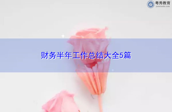 财务半年工作总结大全5篇 财务半年工作总结大全5篇