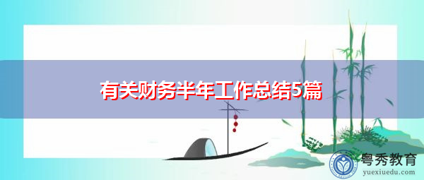 有关财务半年工作总结5篇