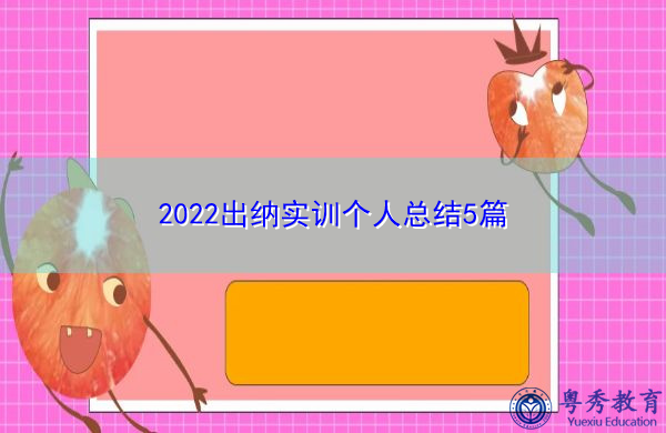 2022出纳实训个人总结5篇