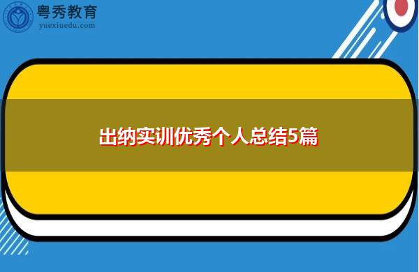 出纳实训优秀个人总结5篇