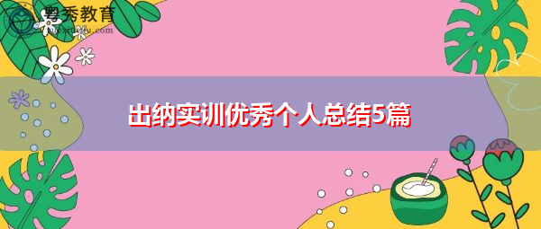 出纳实训优秀个人总结5篇
