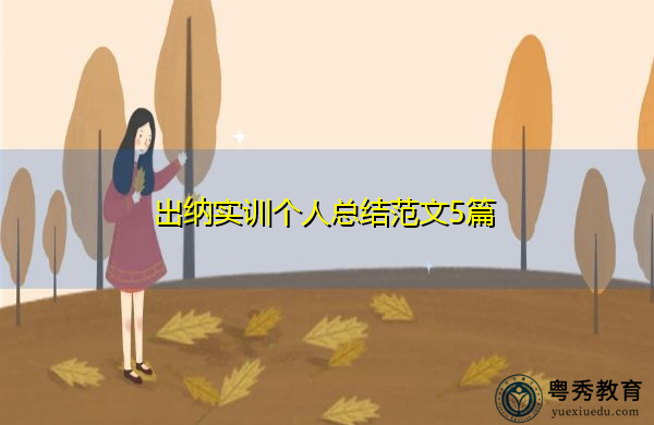 出纳实训个人总结范文5篇 出纳实训个人总结范文5篇