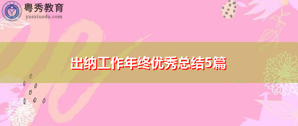 出纳工作年终优秀总结5篇