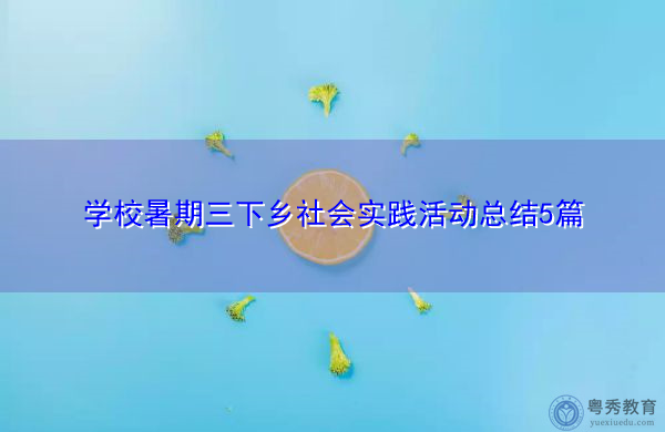 学校暑期三下乡社会实践活动总结5篇