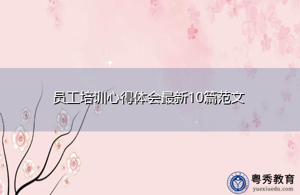 员工培训心得体会最新10篇范文 员工培训心得体会最新10篇范文