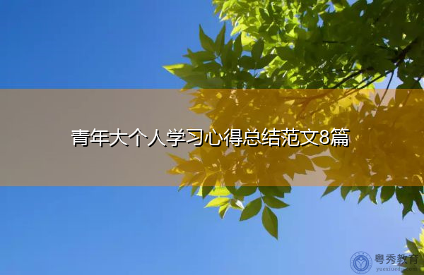 青年大个人学习心得总结范文8篇
