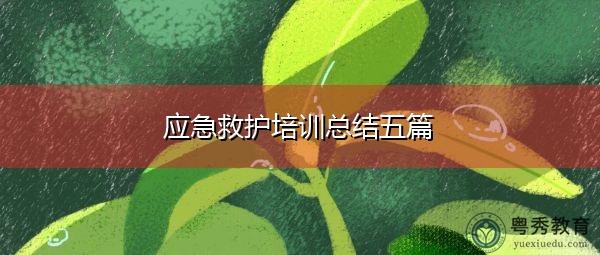应急救护培训总结五篇 应急救护培训总结五篇