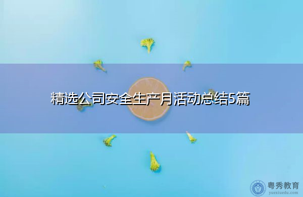 精选公司安全生产月活动总结5篇