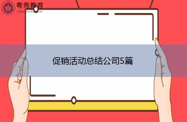 促销活动总结公司5篇