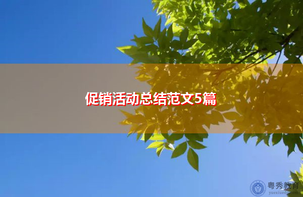 促销活动总结范文5篇 促销活动总结范文5篇