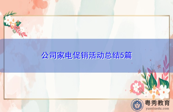 公司家电促销活动总结5篇 公司家电促销活动总结5篇