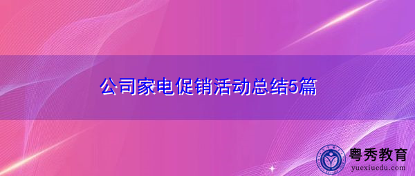 公司家电促销活动总结5篇 公司家电促销活动总结5篇