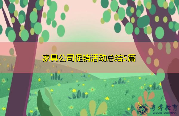 家具公司促销活动总结5篇
