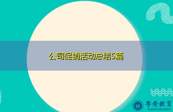 公司促销活动总结5篇