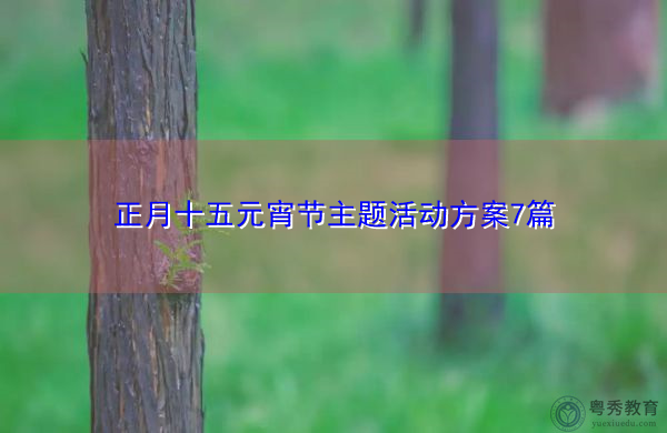 正月十五元宵节主题活动方案7篇 正月十五元宵节主题活动方案7篇