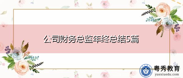 公司财务总监年终总结5篇 公司财务总监年终总结5篇